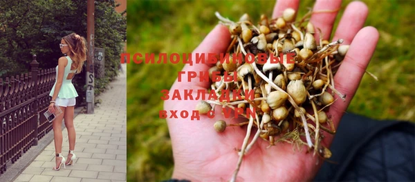 прущая мука Алзамай