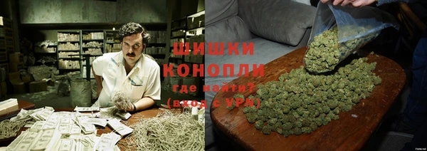 ГАЛЛЮЦИНОГЕННЫЕ ГРИБЫ Алексин
