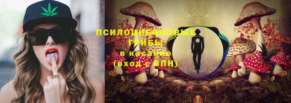 ГАЛЛЮЦИНОГЕННЫЕ ГРИБЫ Алексин