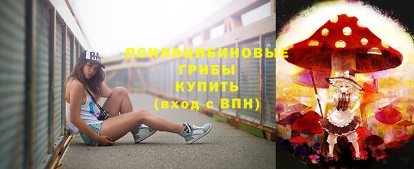 ГАЛЛЮЦИНОГЕННЫЕ ГРИБЫ Алексин