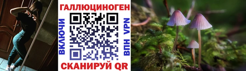 Галлюциногенные грибы Cubensis  MEGA онион  Ухта 