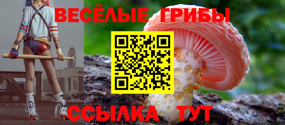 Псилоцибиновые грибы MAGIC MUSHROOMS Ухта