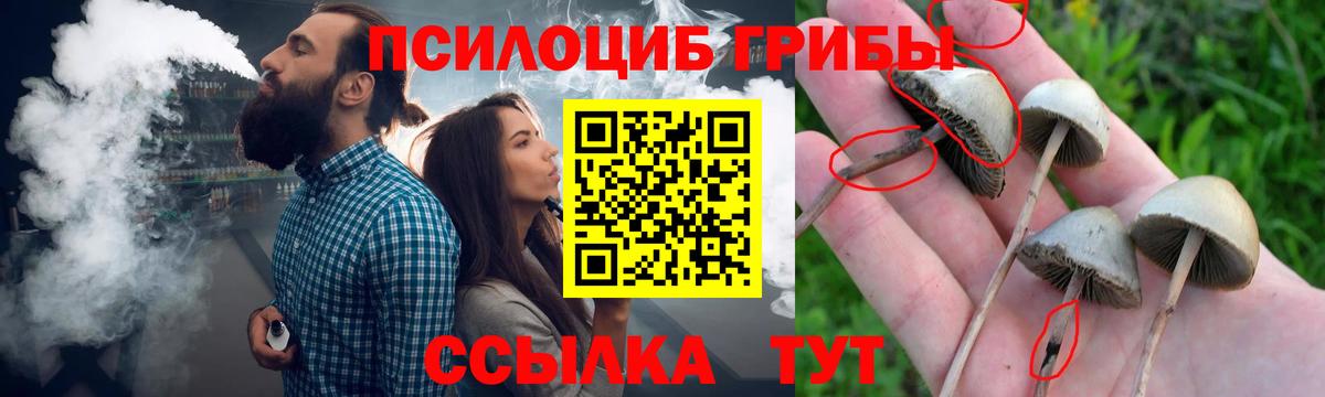 Ухта  Псилоцибиновые грибы Cubensis  Вход с VPN  Галлюциногенные грибы GOLDEN TEACHER 